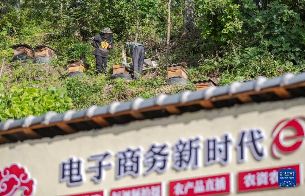 乐虎国际的网址
